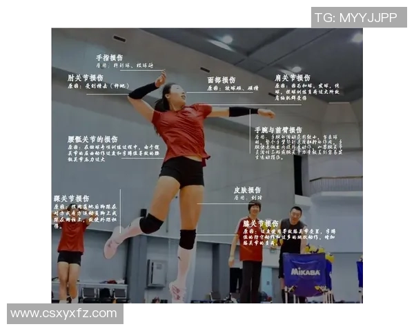 武汉排球队成长之路:一段关于拼搏与团结的排球纪实故事 武汉排球队成长之路:一段关于拼搏与团结的排球纪实故事