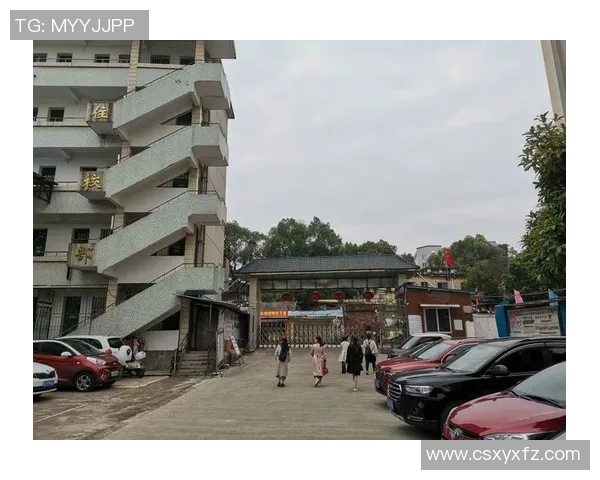 杭州足球队逆袭之路的真实故事与奋斗精神全记录