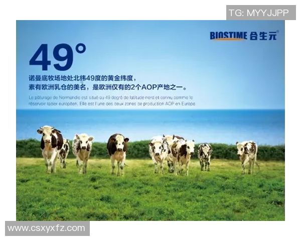 足球明星是否都需要保镖来保护个人安全与隐私的探讨 足球明星是否都需要保镖来保护个人安全与隐私的探讨