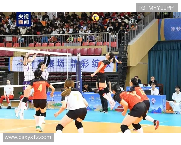 南京排球队在全国排球比赛经验排行榜中荣获第八名的辉煌成就