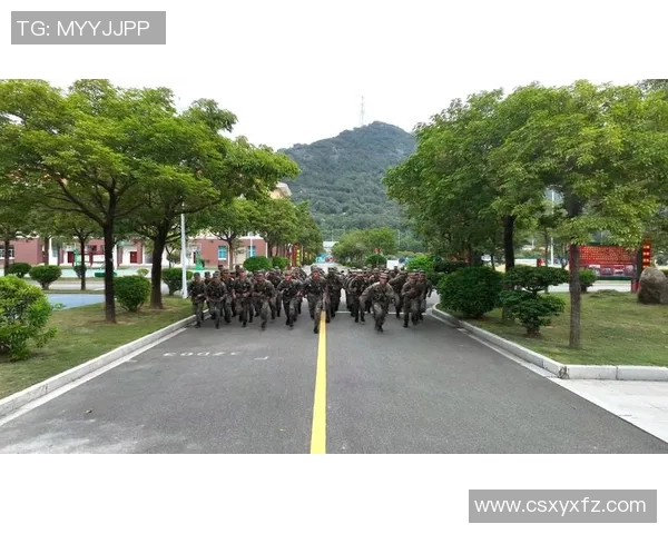 南京排球队转型纪实：从传统到现代的奋斗与蜕变之路